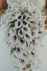 Maybe you would like to learn more about one of these? Carmel Flower Shop Gift Cards Indiana Giftly