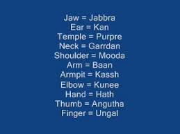 Pin On Punjabi
