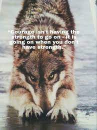 Pin On Wolf Quotes