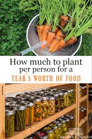 What other aspects of gardening and home food production do you participate in or would like to learn more about? How Much To Plant Per Person For A Year S Worth Of Food Food Garden Home Vegetable Garden Organic Vegetable Garden