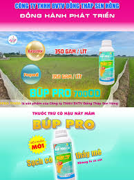Bup 700OD