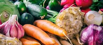 Die blüten und früchte bilden sich an. Diese Pflanzen Gedeihen Nebeneinander Am Besten Ratgeber Bloomling Deutschland