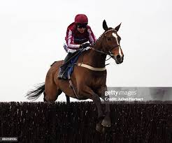 499 Chase Cartwright Stock Photos, High-Res Pictures, and Images