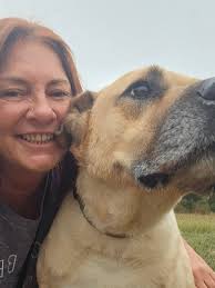 Who can recommend a dog sitter in Waco for a senior dog with unique needs?