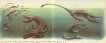 Image result for Elasmosaurus