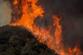 Wildfire activity continues in nine geographic areas. Wildfires National Geographic Society