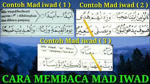 Hamzah tersebut diganti dengan harakat berdiri ('). Mad Iwad Dan Contohnya Tajwid Lengkap Beserta Contohnya Pemula Wajib Tau Youtube