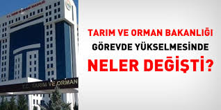 Tarım ve orman bakanlığına ait atama kararları, resmi gazete'de yayımlandı. Tarim Ve Orman Bakanligi Gorevde Yukselmesinde Neler Degisti Memurlar Net