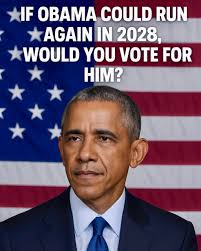 ロ力 カ 法 清号 THIS IS NOT A COLORED PHOTO! ONLY THE GRID LINES ARE COLORED, AND  YOUR BRAIN IS SIMPLY FILLING IN IN THE REST.