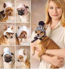 Dog Hats Bonnets Sewing Pattern Three Sizes Designs For Dinky Small Dogs Small Dog Clothes Dog Hats Dog Clothes Diy