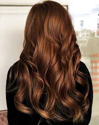 Welche Jahreszeit Welche Haare Reich Sollte Ich Verwenden Hier Sind Vorschlage In 2020 Light Hair Color Hair Color Auburn Chestnut Hair Color