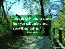 Earth Day Nature Jpg 853 640 Earth Day Quotes Earth Day Pictures Earth Day Slogans