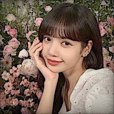 Lisa Flower's Instagram, Twitter & Facebook