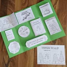 Hier Ein Kleiner Einblick In Unser Lapbook Zum Thema Unser Wald Die Vorlagen Stammen Zum Teil Aus Dem Tollen L Wald Grundschule Grundschullehrer Grundschule