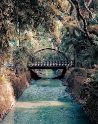 Di blog mamikos ini, beragam info dapat kamu peroleh diantaranya adalah tiket masuk taman rekreasi kota malang, tempat wisata di malang, wisata malang untuk keluarga, harga tiket wisata malang 2020, wisata malang. Taman Langsat Sejarah Spot Foto Fasilitas Alamat Htm