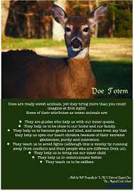Image Result For Deer Spirit Animal Animal Totem Spirit Guides Animal Spirit Guides Deer Spirit Animal