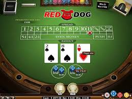 Card can support the relevant capturing number. Top 8 Casino Card Games You Need To Try This Year Pokernews