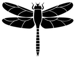 The sturdy pedestal keeps the birdbath from tipping over while the ceramic construction withstands weather changes. Wells Chamber Holds Annual Dragonfly Nymph Program Portland Press Herald