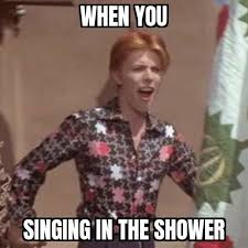 David Bowie Meme David Bowie Meme David Bowie Bowie