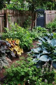 Heuchera Blue Hosta Garden Gate Fine In 2020 Garten Ideen Gestaltung Vorgarten Schattengarten Schattengartenpflanzen