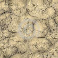 Alien Skin Texture Skin Textures Reptile Skin Illustration