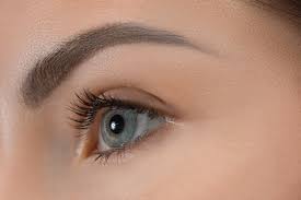 Le Gros Plan Des Yeux Gris Sur Le Visage De La Belle Jeune Fille Caucasienne Photo Gratuite Le père de michel est très vieux. belle jeune fille caucasienne