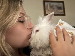 I have 4 male bunnies, a mini lop, holland lop and 2 lion head/lop mix.  I've had 2 for 4 years and got the last 2 about 7 months ago. They all