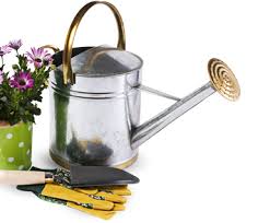 Find the latest, greatest gadgets in digging, planting, testing, and watering. Gardening Gifts Direct Gardening Gifts Tools And More
