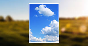 Viola THRASHER Obituary May 6, 2005