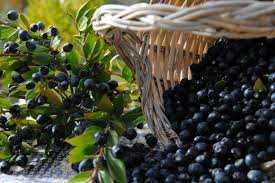 We did not find results for: Liquore Di Crema Di Mirto Casa Della Sardegna