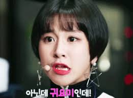 twice เซอร ไพรส ชวนด reaction ของสาวๆทไวซ เม อเพลงด บ dream concert pantip i love girls cool girl short hair styles