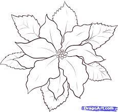 Keep your kids busy doing something fun and creative by printing out free coloring pages. Poinsettia Outline Coloring Home