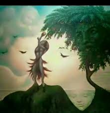 Criticism of Maverick Aoko's Post About Governor