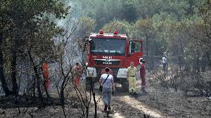 Haber, haberler, güncel haberler, internet haber,son dakika haberleri, tv100 farkıyla takip edin. Son Dakika Kocaeli Gebze De Orman Yangini Cikti