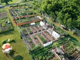 Growing your own food takes it to the next level. Grow Your Own Food A Guide To Everything You Need To Know To Start A Vegetable Garden The Art Of Doing Stuff