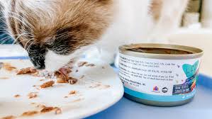 Renal failure can result from breeding my 14 year old cat bobby was diagnosed with slight renal failure about 10 months ago and has really been having the royal cainne brand and was eating well on both. How To Get A Cat With Kidney Failure To Eat The Crazy Cat Lady Tips