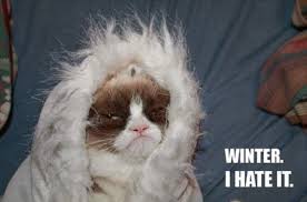 Watch more 'forum weapons' videos on know your meme! Chicago Weather