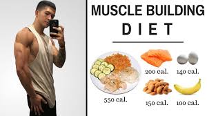 the best science based diet to build lean muscle all meals shown