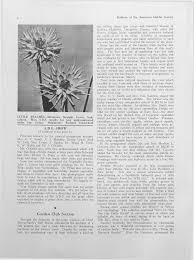 THE BEST 10 ADULT ENTERTAINMENT in SAINT-GERVAIS-LES-BAINS, HAUTE-SAVOIE,  FRANCE - Updated 2025 - Hours - Yelp