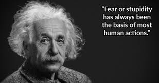 All albert einstein quotes | albert einstein books. Safety Culture Quotes From Albert Einstein Hse Network