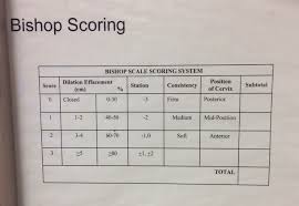 Image result for Bishop Score