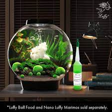 4 Luffy Marimo Moss Balls Aesthetically Beautiful Smartproducts Marimo Moss Ball Marimo Moss Ball Aquarium Moss Balls