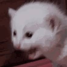 Scream Gifs Tenor