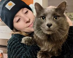 Steve Sheridan Photography