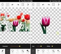 But even with the perfect shot, backgrounds can be distracting. 5 Best Apps To Add Background To Photos Top Picks 2021