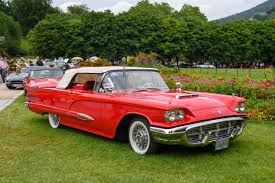 Image result for Special 1958 Thunderbird
