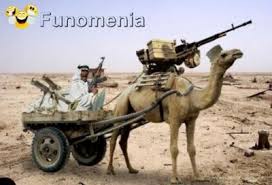 pin on funny pictures
