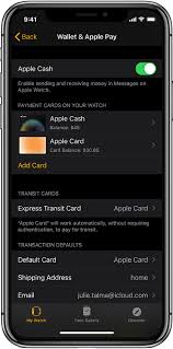 A live agent will assist you with your wallet registration. Set Up Apple Pay On Apple Watch Apple Support