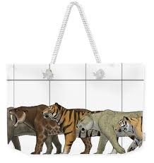 big felines size chart weekender tote bag