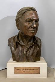 Scott, Celia, b.1947